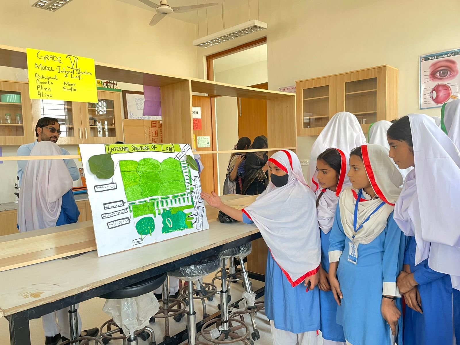Climate and livelihood work
